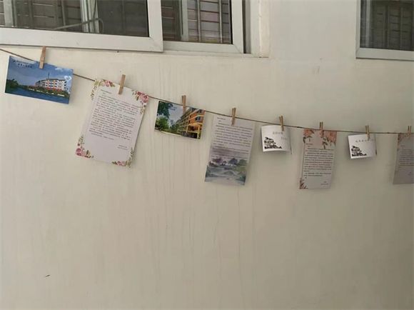 “青春不散场，梦想当远航”教育学院2025届毕业生系列活动